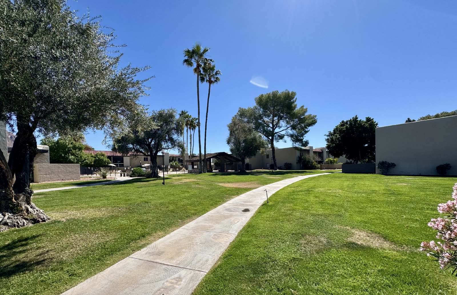 2b/2b Apartment in Biltmore area! property image