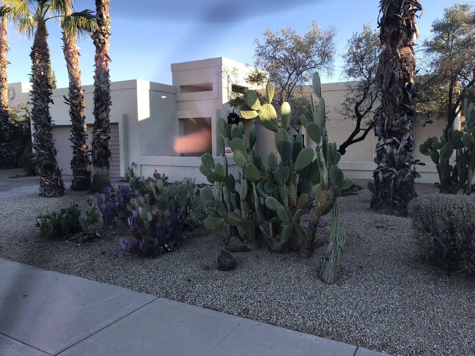3 bedrooms / 2 bathrooms near Kierland Mall property image