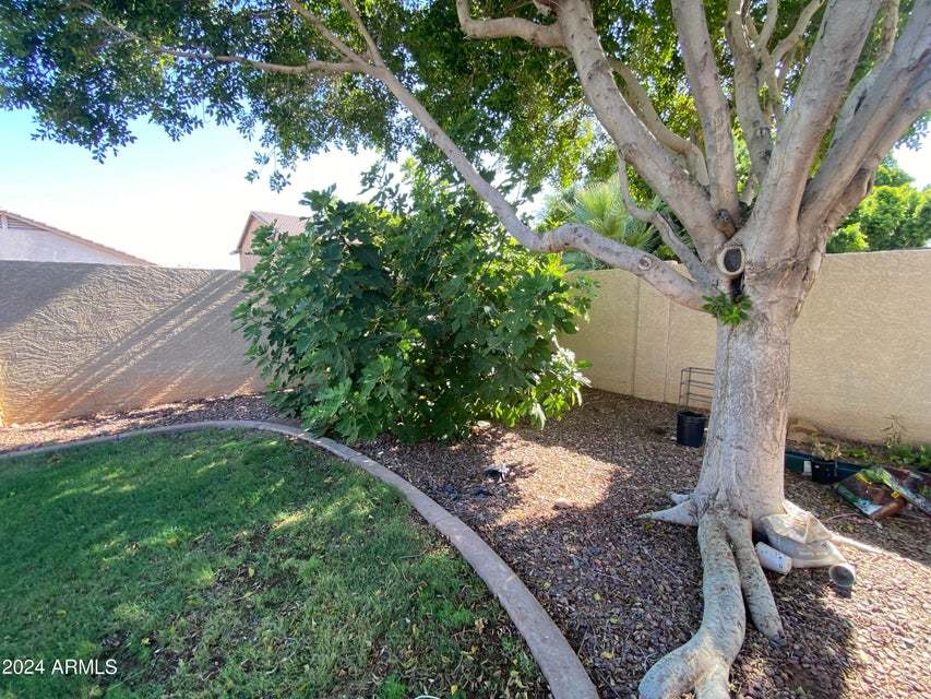 Subdivision: Hunter Ridge property image