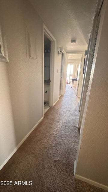 Furnished Rental in OLD TOWN! property image