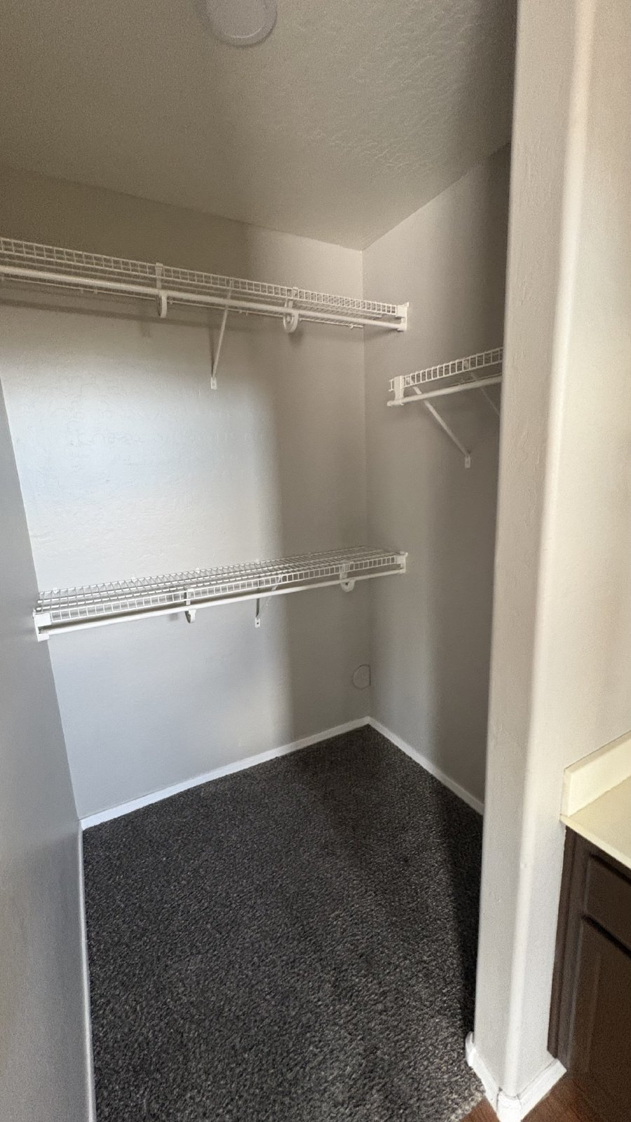 Goodyear rental property image