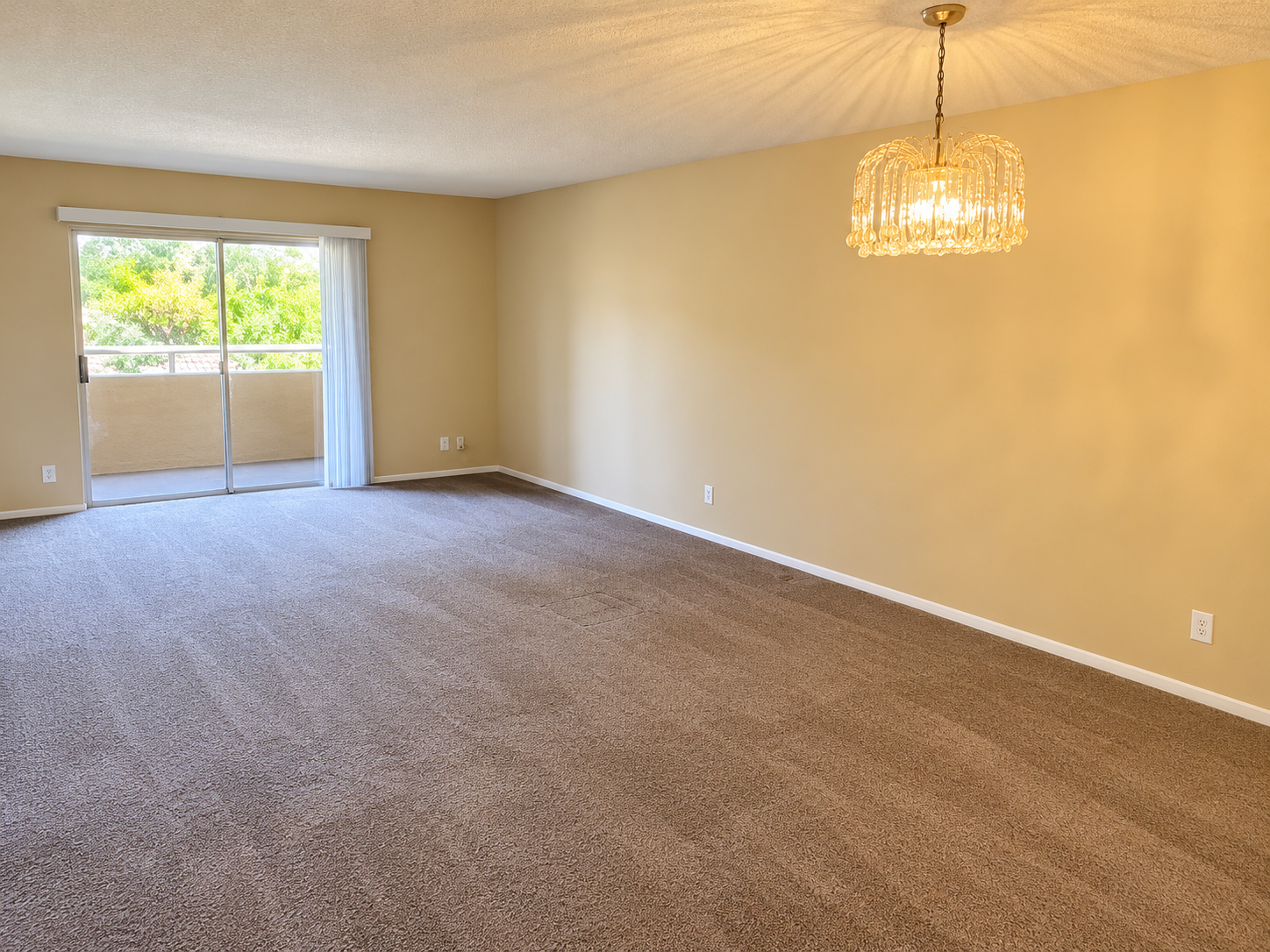 Unfurnished 2b/2b condo in prime location! property image