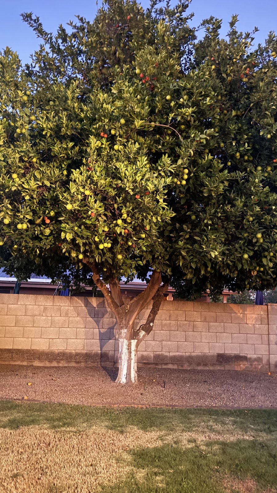 3b/2b close to Kierland Commons Mall! property image