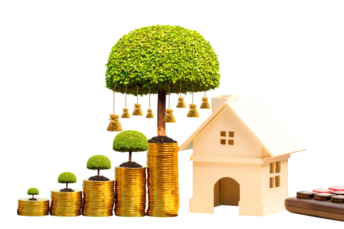 Phoenix Rental Profits and the Real Drivers Behind Revenue Growth